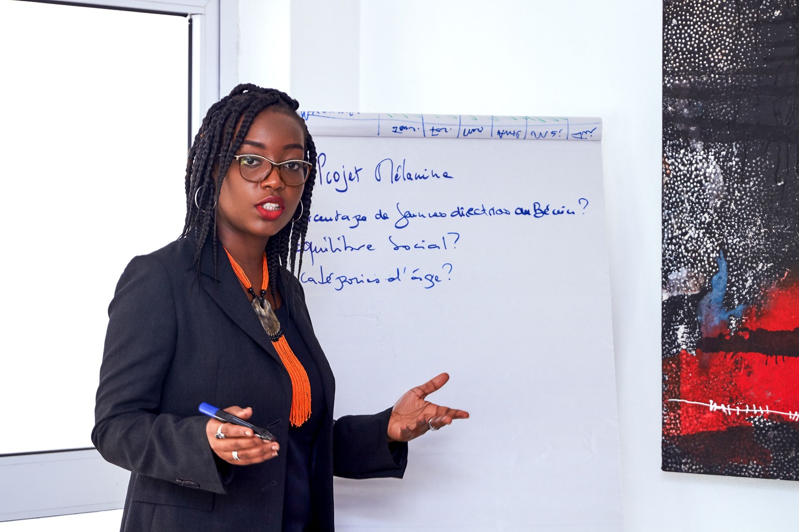 ADI Performance Model institutional transformation session
